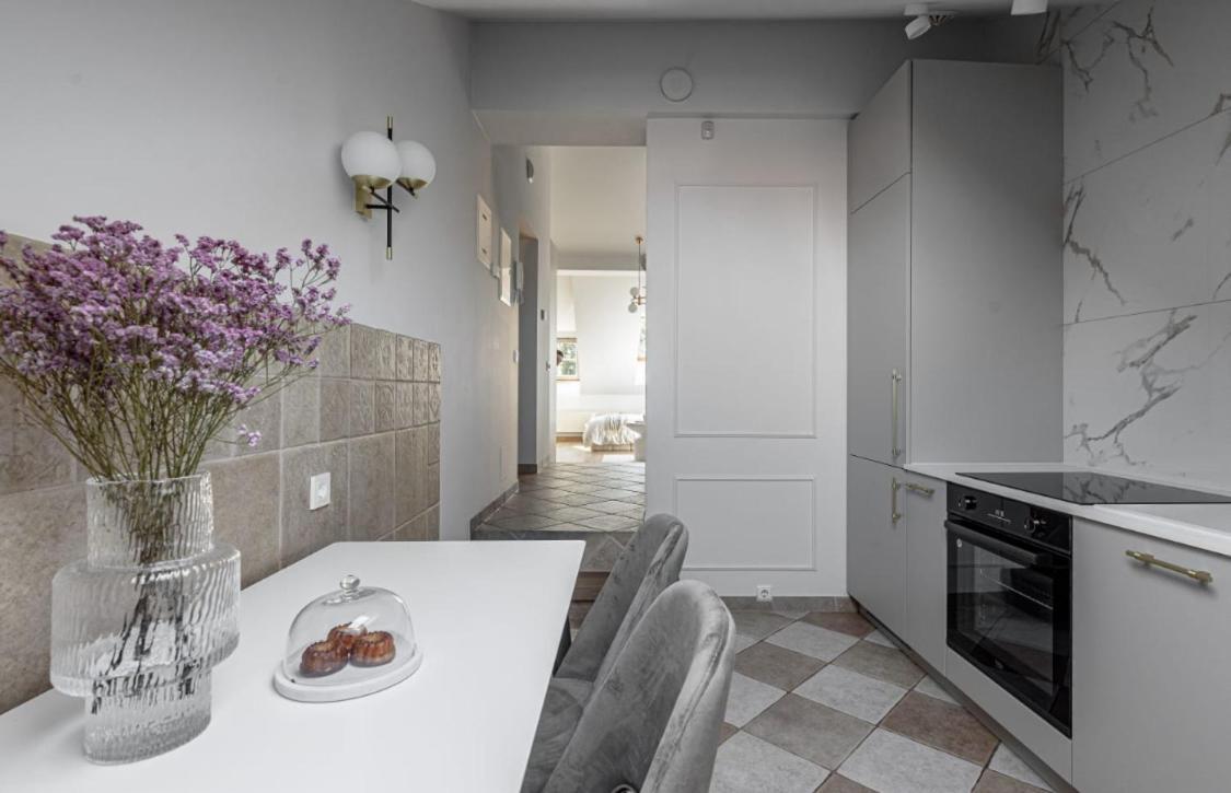 Traku Street Apartment In וילנה מראה חיצוני תמונה